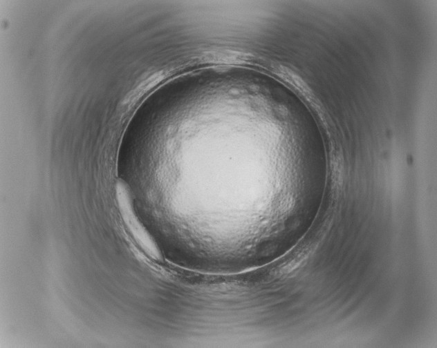X0000056030433200508221518