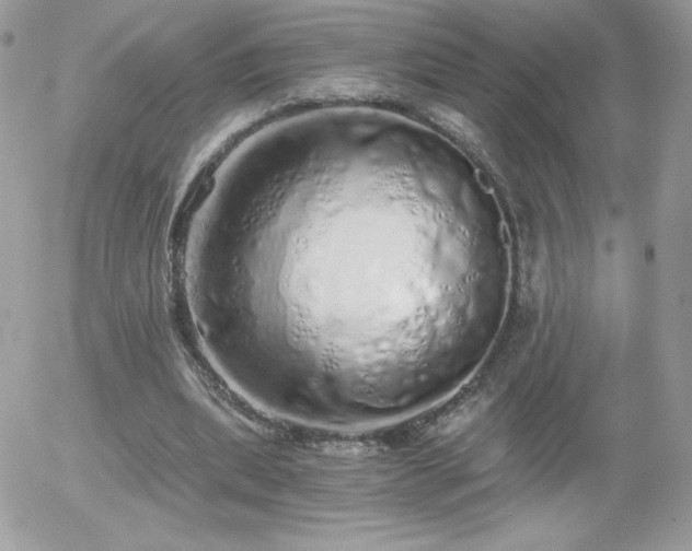X0000056030439200508221518