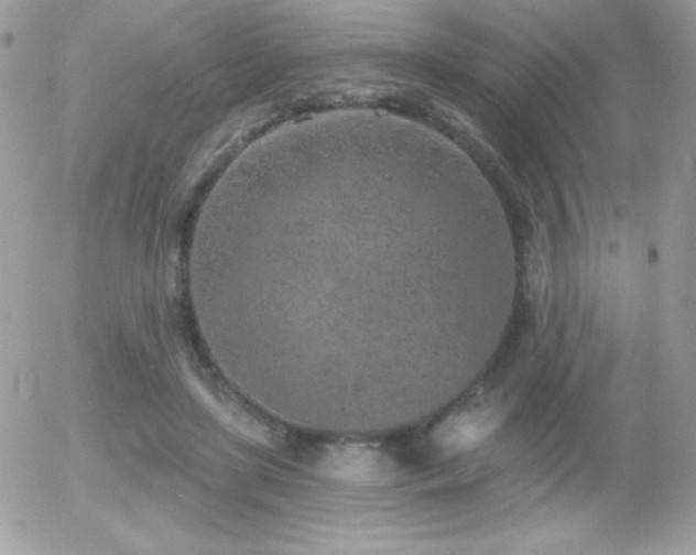 X0000056030451200508221518