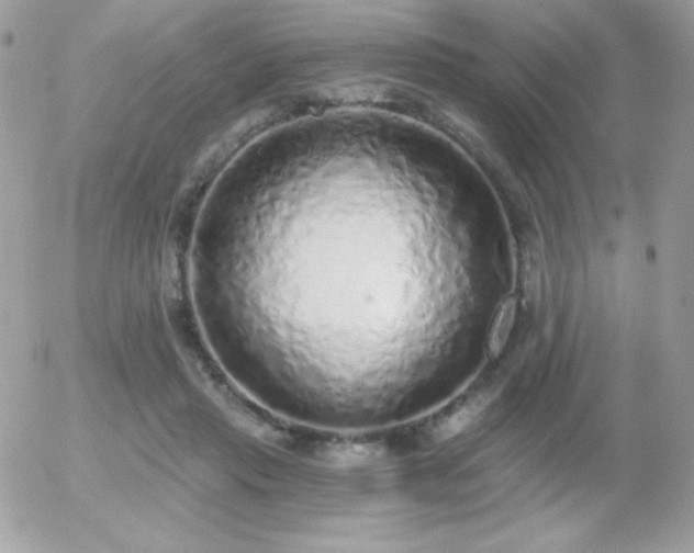X0000056030453200508221518