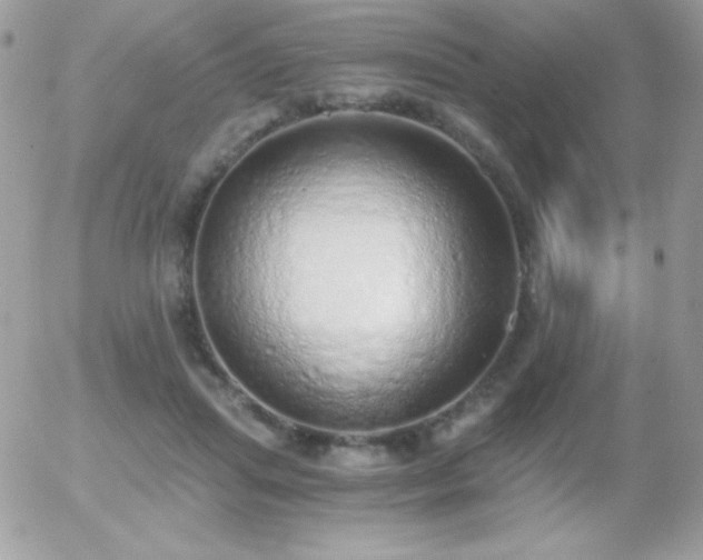 X0000056030455200508221518