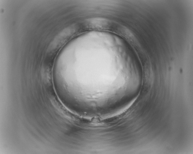 X0000056030457200508221518