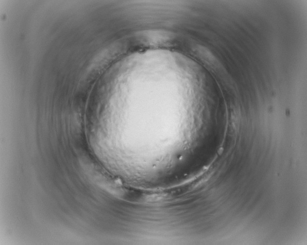X0000056030461200508221518