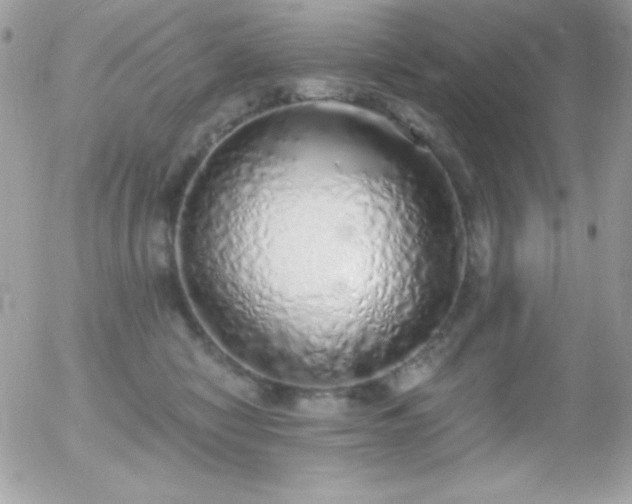 X0000056030470200508221518