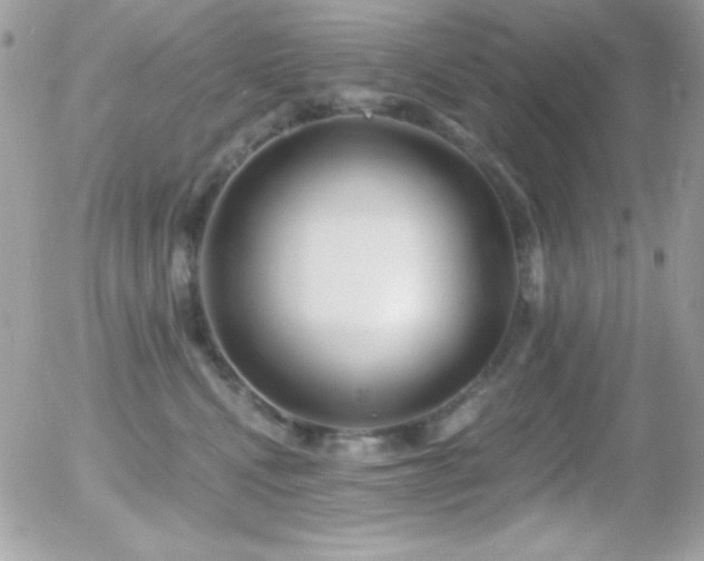 X0000056030472200508221519