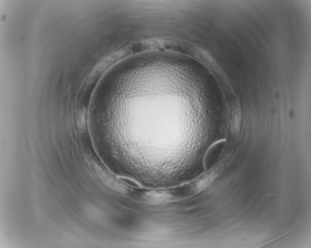 X0000056030477200508221519