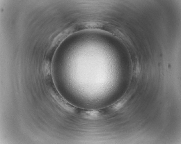 X0000056030478200508221519