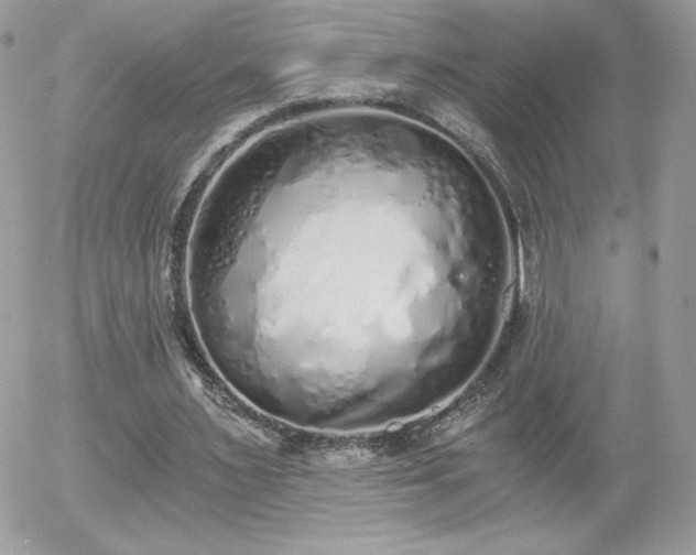 X0000056030483200508221518