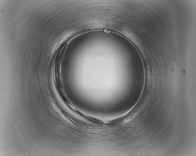 X0000056030485200508221518