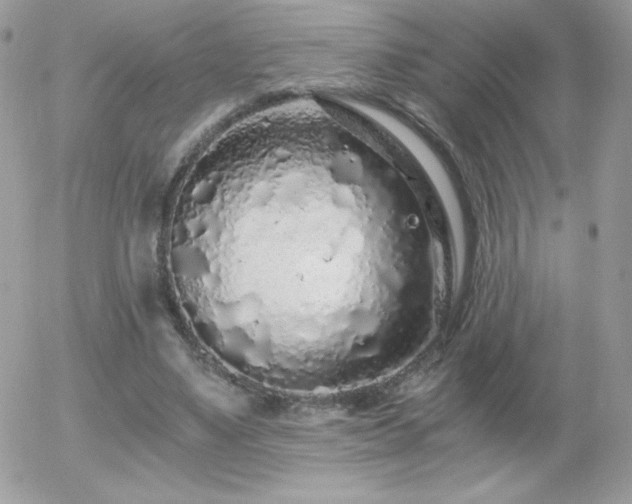 X0000056030491200508221518