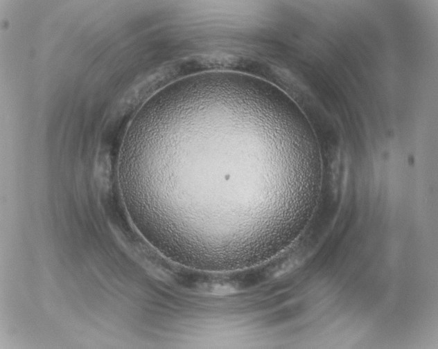 X0000056030498200508221518
