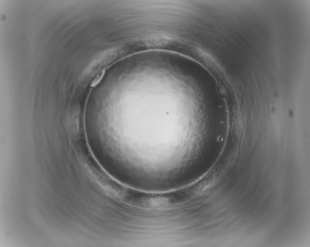 X0000056030501200508221518