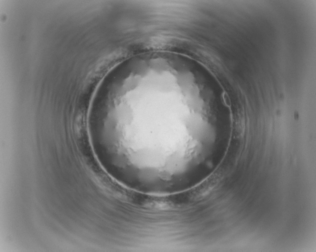 X0000056030503200508221518