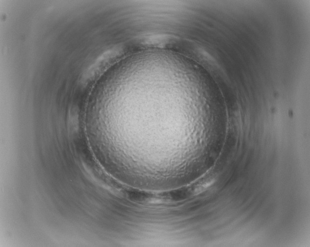 X0000056030504200508221517