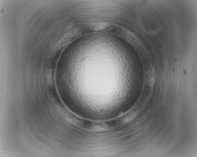 X0000056030510200508221517