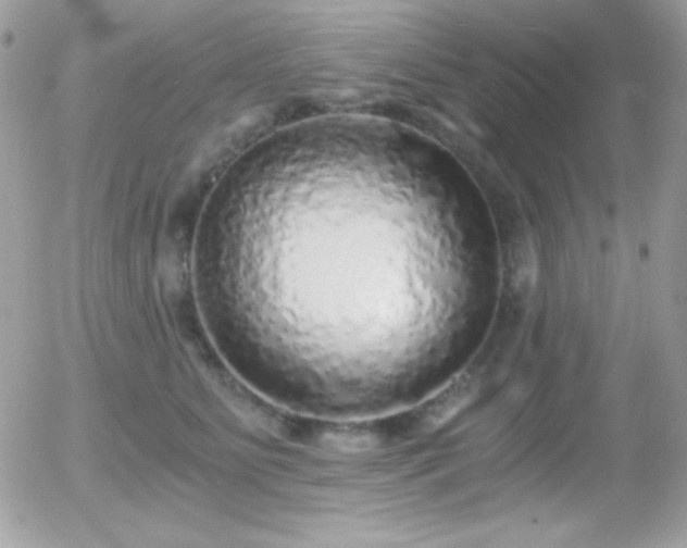 X0000056030515200508221517