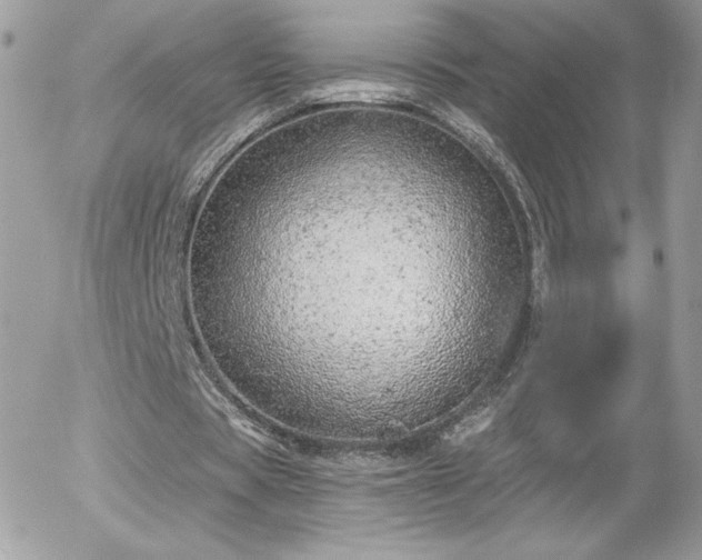 X0000056030529200508221516