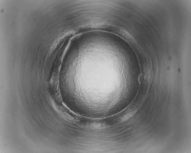 X0000056030542200508221517