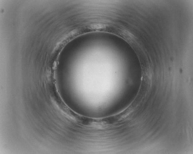 X0000056030556200508221517
