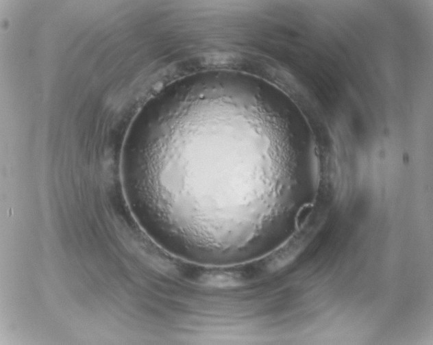 X0000056030557200508221517