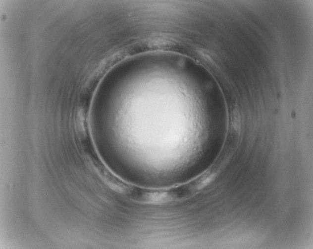 X0000056030575200508221517