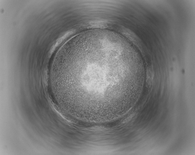 X0000056030578200508221516