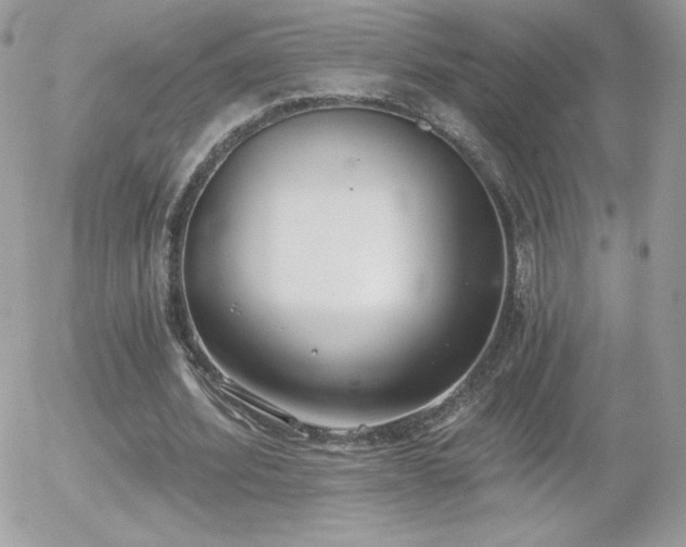X0000056030580200508221516