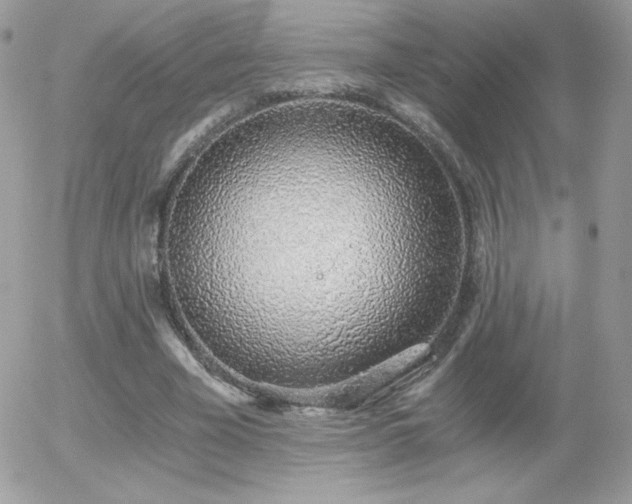X0000056030585200508221516