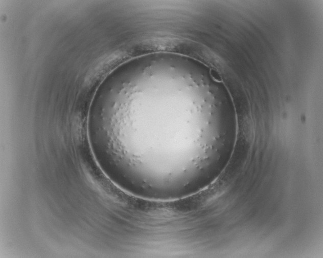 X0000056030594200508221516