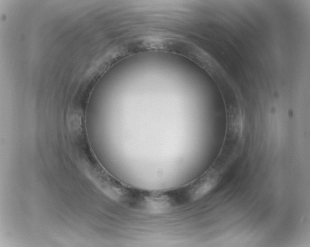 X0000056030603200508221516