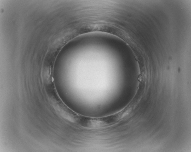 X0000056030605200508221516