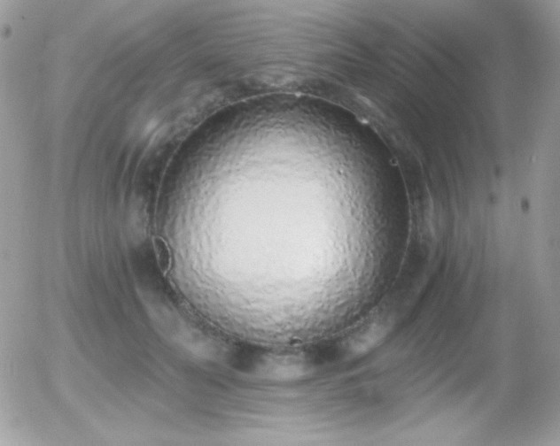 X0000056030606200508221516