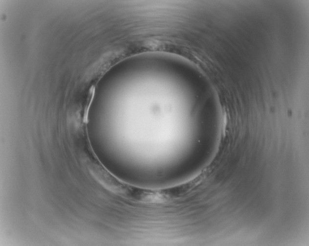 X0000056030611200508221516