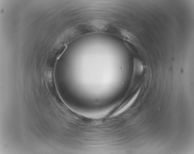 X0000056030613200508221516