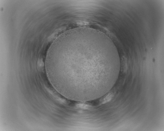 X0000056030614200508221516