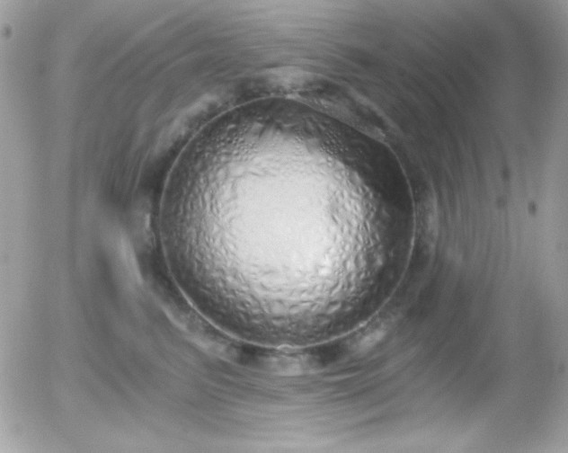 X0000056030615200508221516