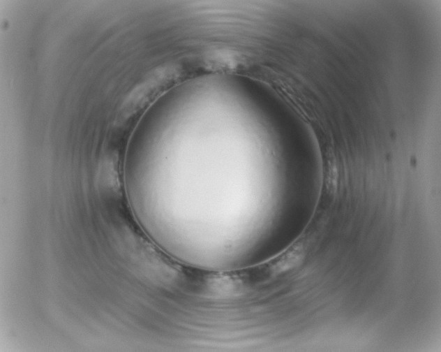 X0000056030616200508221516
