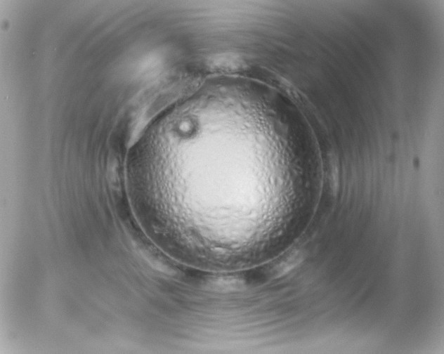 X0000056030619200508221516