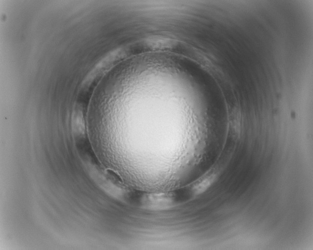 X0000056030622200508221516