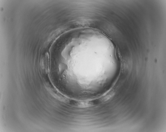 X0000056030623200508221516