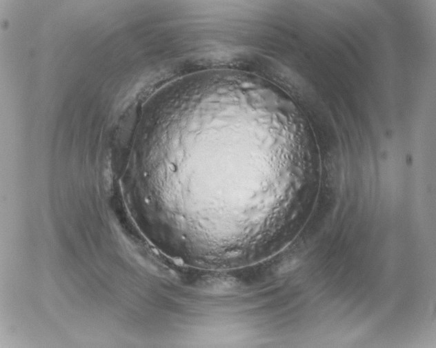X0000056030642200508221515