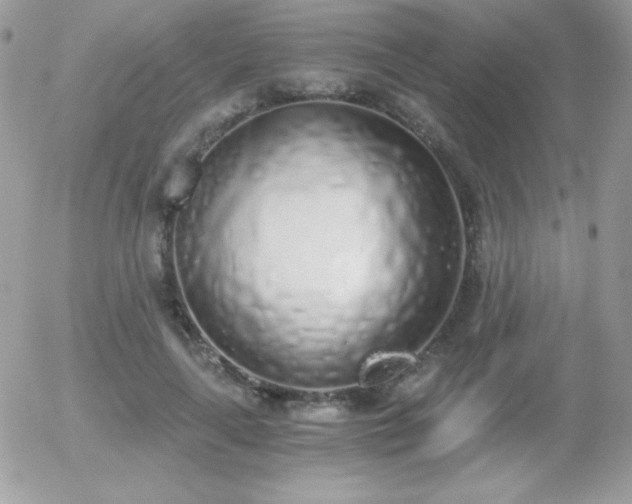 X0000056030643200508221515