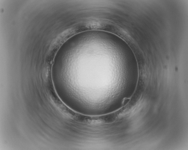 X0000056030645200508221515