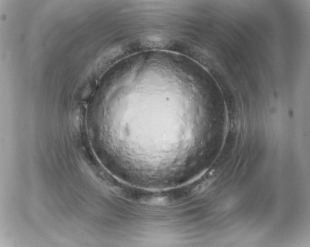 X0000056030647200508221515