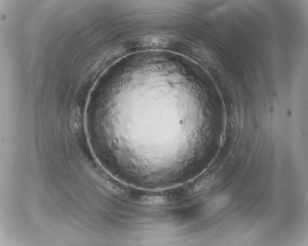 X0000056030649200508221515