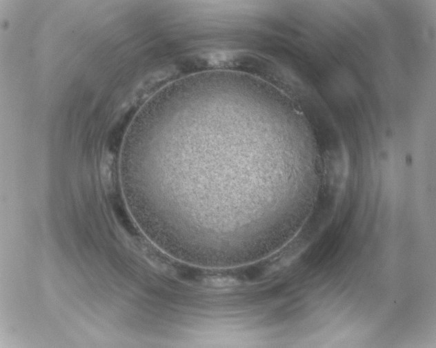 X0000056030650200508221515