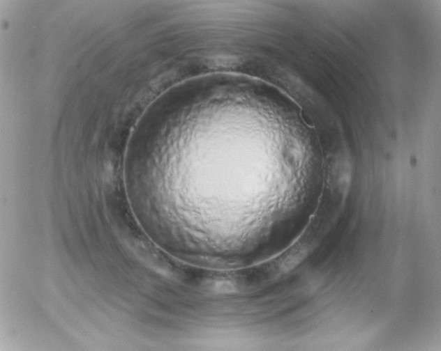 X0000056030655200508221515