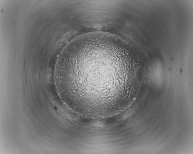 X0000056030656200508221515