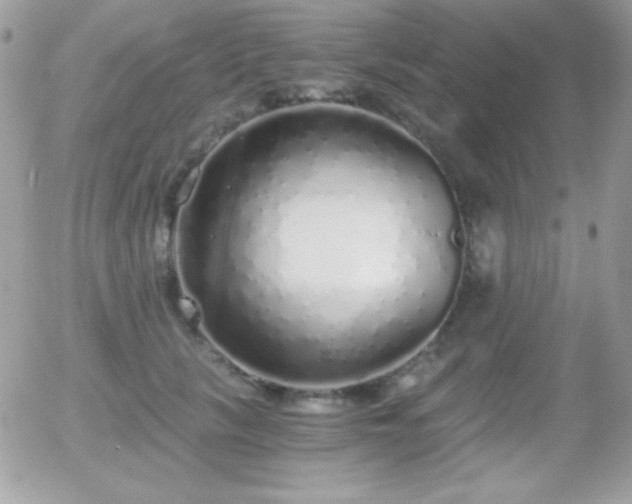 X0000056030657200508221515