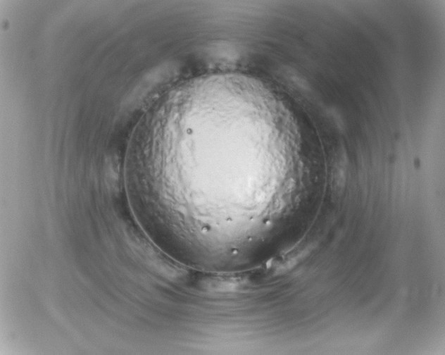 X0000056030661200508221515